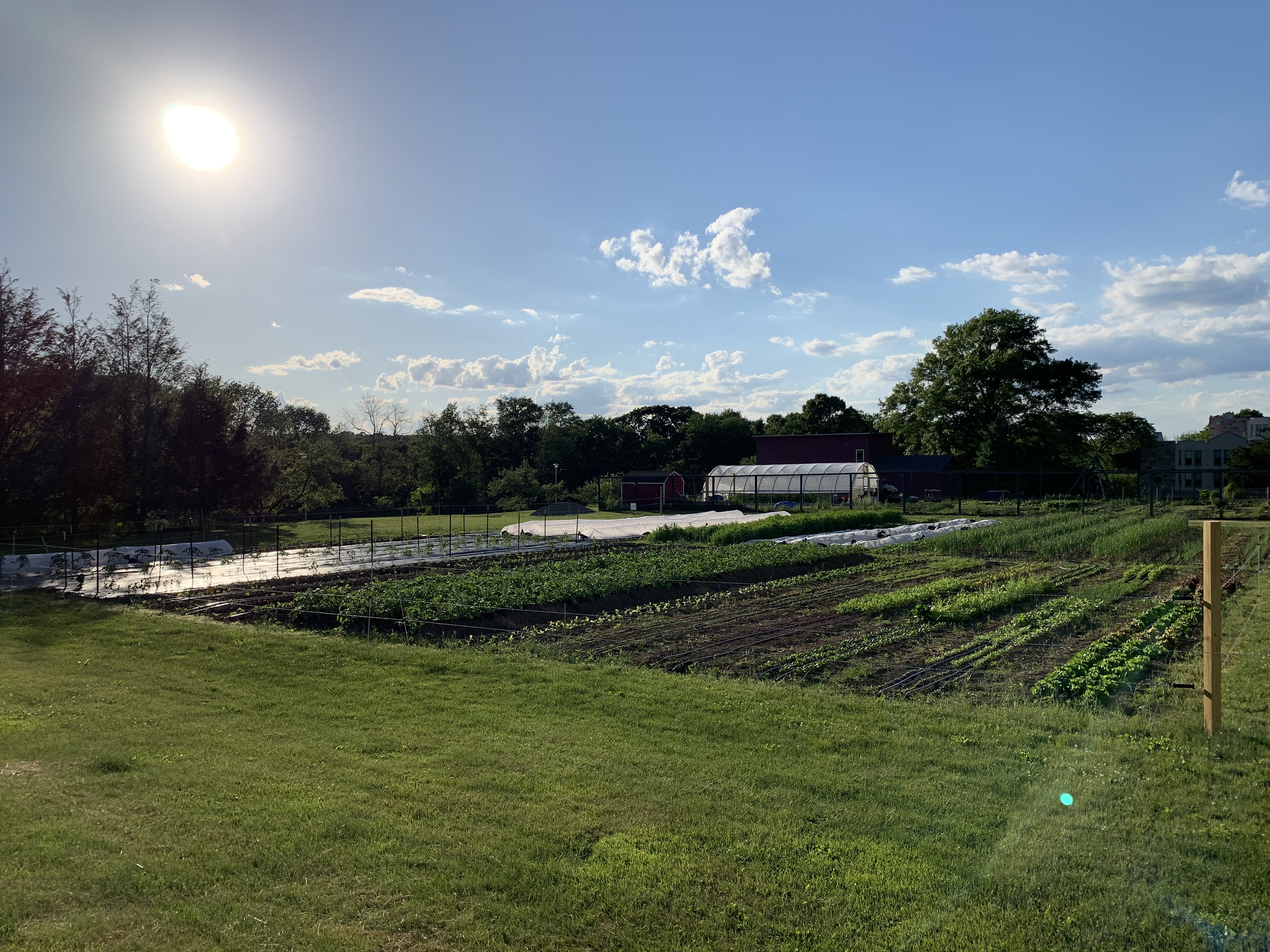 Sprout Garden