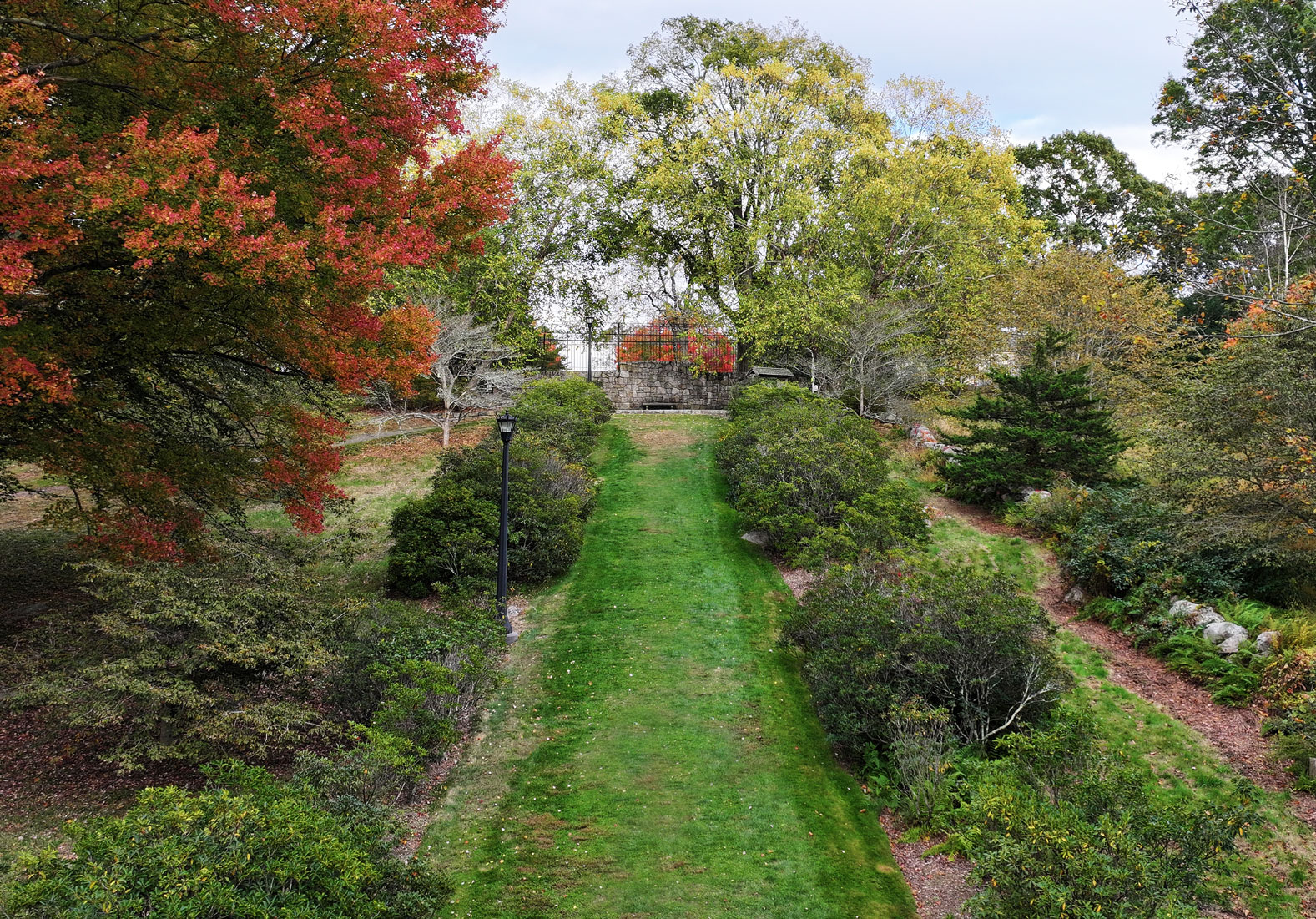 The Arboretum