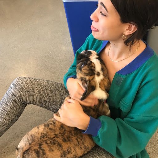 Dani holds the English bulldog puppy Daisy