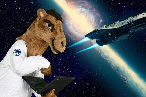 Camel studying in space