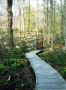 Boardwalk in the Wildflower Garden.